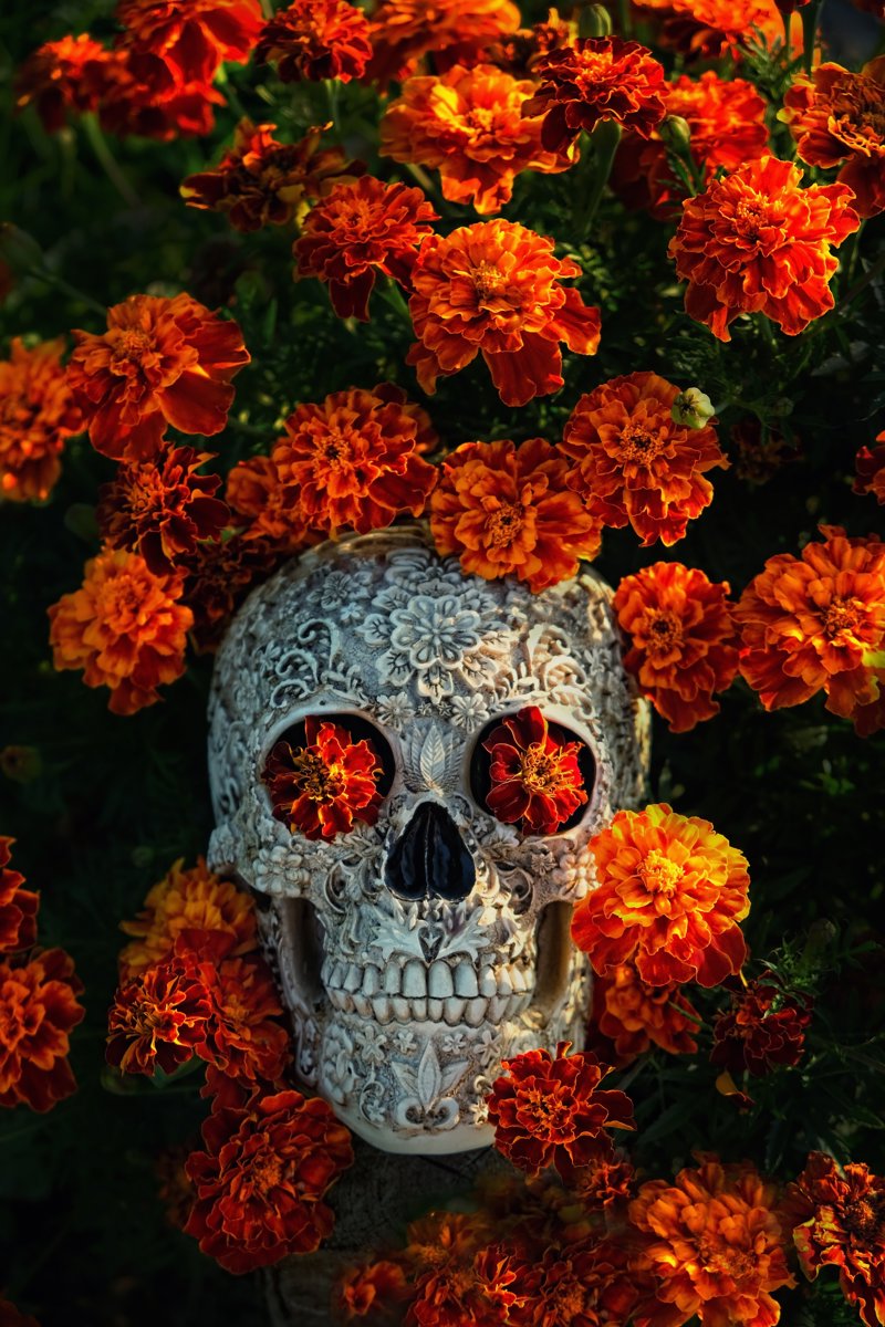 Η Ημέρα των... Νεκρών (Día de los Muertos)