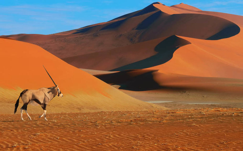 Ένας «ωκεανός» από κόκκινη άμμο