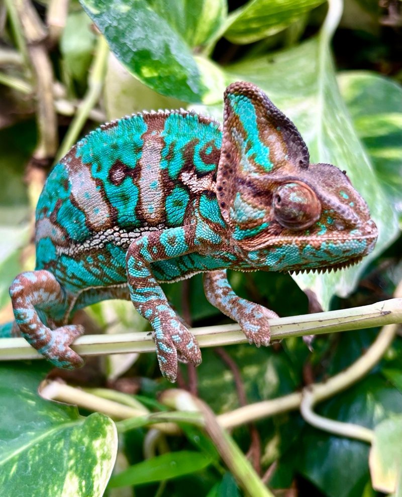 Επισκεφθείτε το Καταφύγιο Peryeras