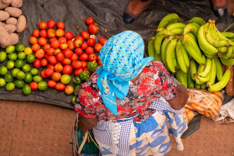 Γνωριμία με το Μιντέλο 