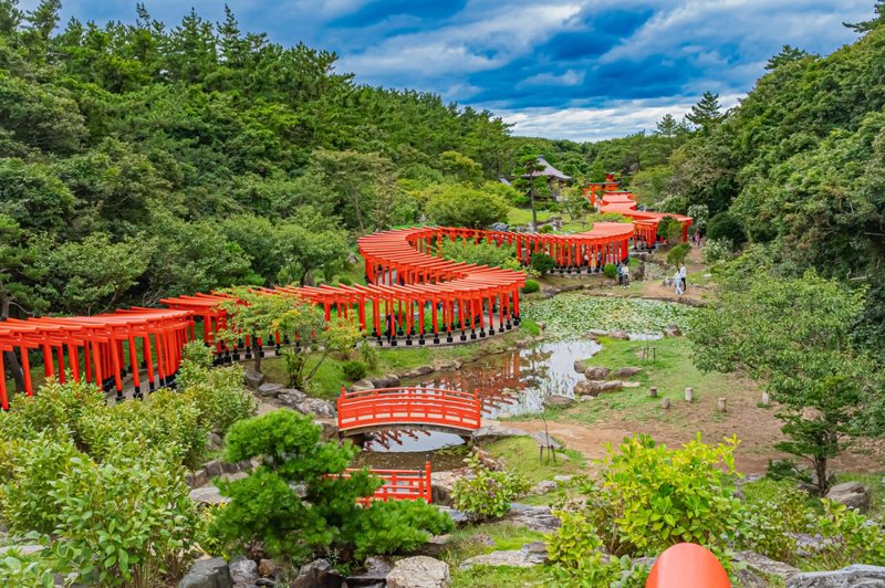 ΤΑΚΑΓΙΑΜΑ – ΜΑΤΣΟΥΜΟΤΟ (επίσκεψη σε φάρμα wasabi & εργαστήριο παρασκευής μίσο)