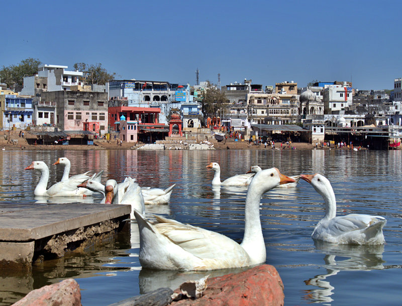 Πουσκάρ, η ιερή προσκυνηματική πόλη του Βράχμα