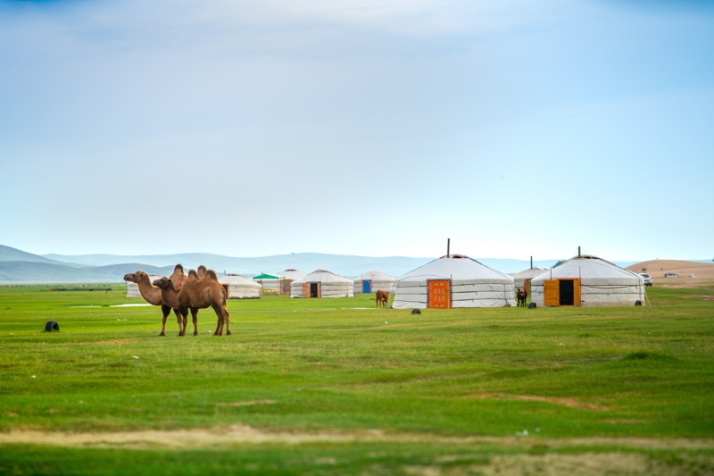 Γιούρτες στην Μογγολία