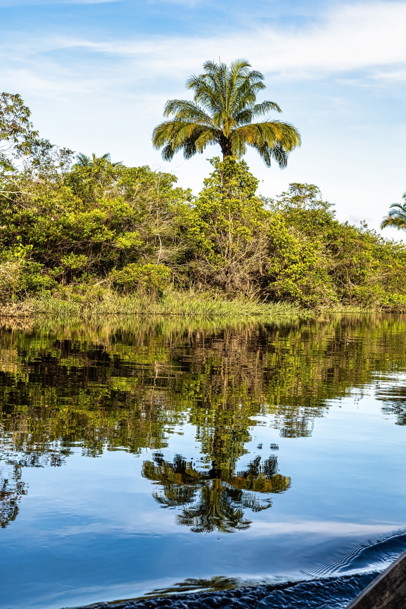Άφιξη σε Αθήνα/Θεσσαλονίκη/Λάρνακα