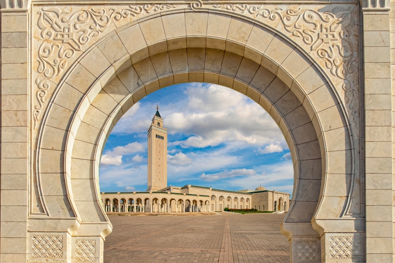 Περιήγηση στην Τύνιδα