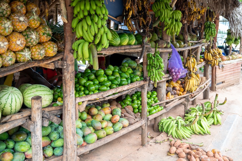 Το πολύχρωμο Σαντιάγο ντε λος Καμπαγιέρος