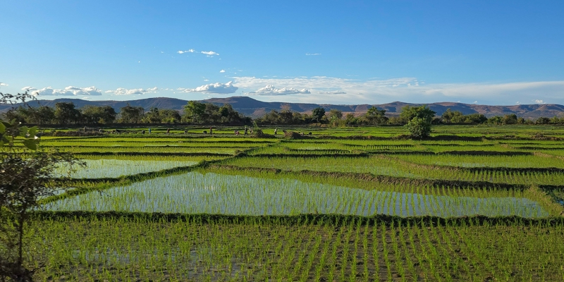 Γνωριμία με το Μιαντριβάζο
