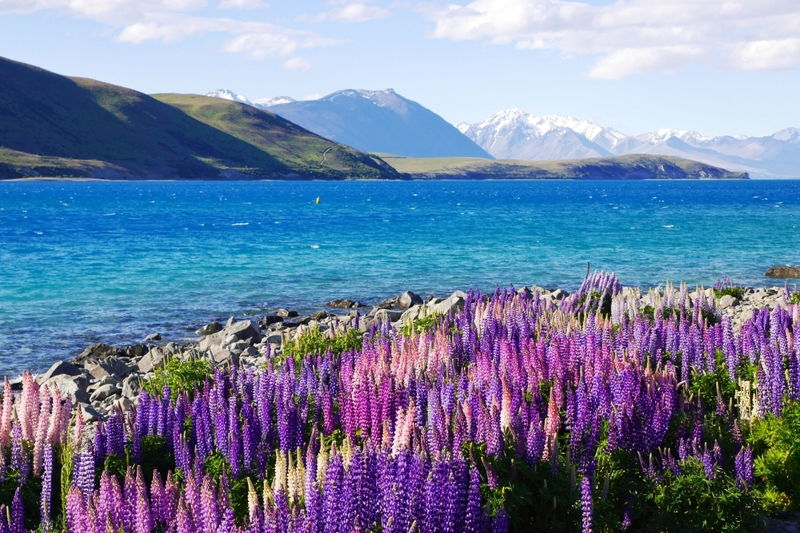 Οι Λίμνες Τεκάπο και Πουκάκι