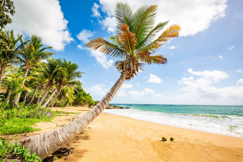 Παραλία Φλαμένκο, Πουέρτο Ρίκο
