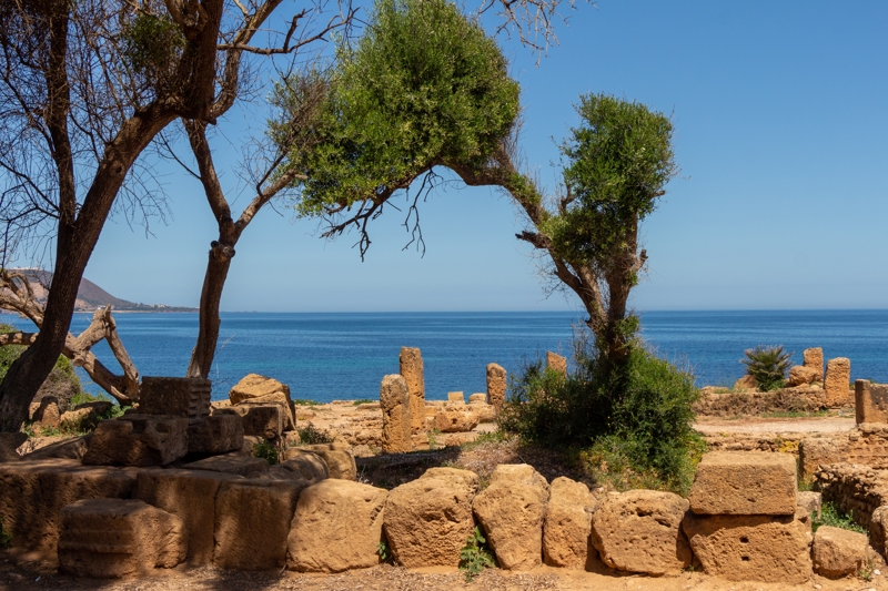 Η μοναδική Τιπάσα