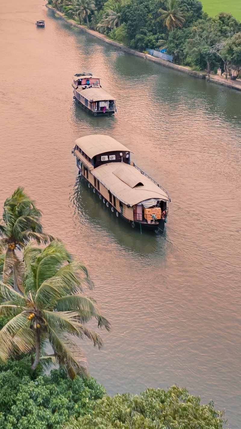 Διαμονή  στο κοσμοπολίτικο Κοτσίν