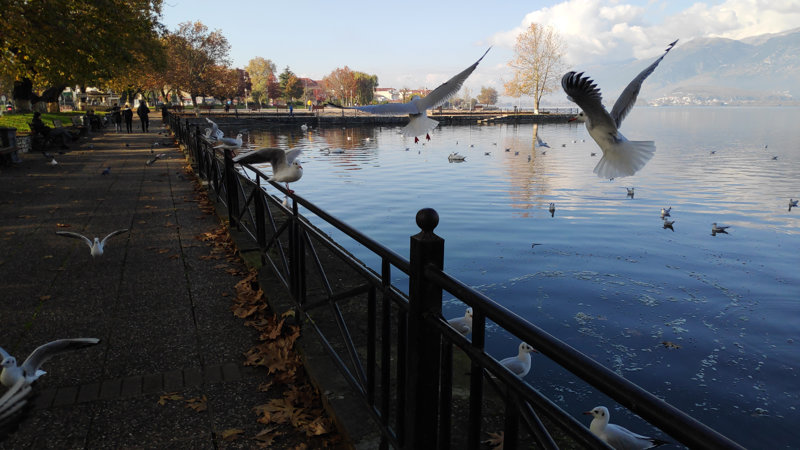 Στη λίμνη των θρύλων 