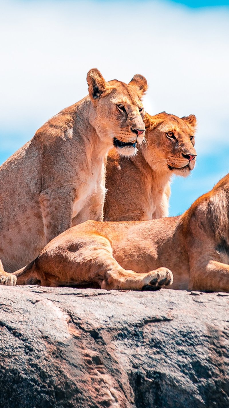 Σπάνιες διαμονές σε Εθνικά Πάρκα