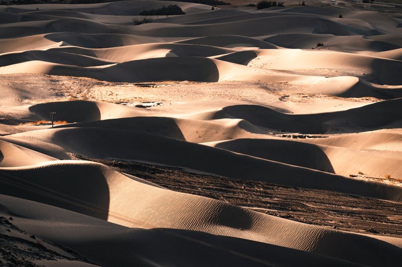 Ερημος στην κοιλάδα Νούμπρα