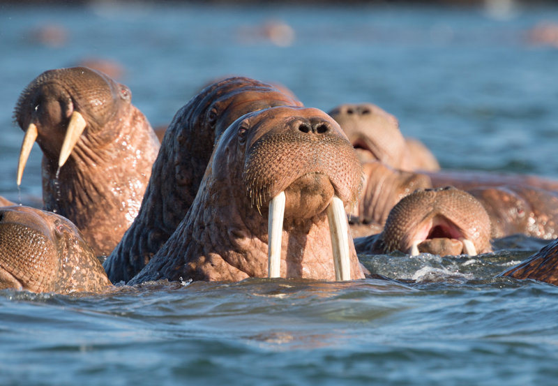 Η εμπειρία μας 
