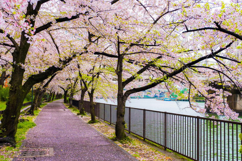 Διανύουμε το περίφημο Μονοπάτι του Φιλοσόφου