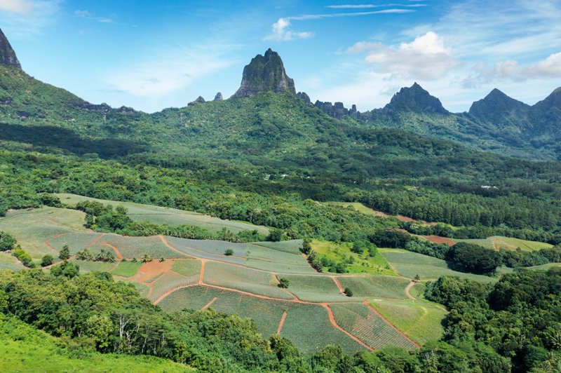 Εκδρομή στη μαγευτική φύση με jeep 4X4 