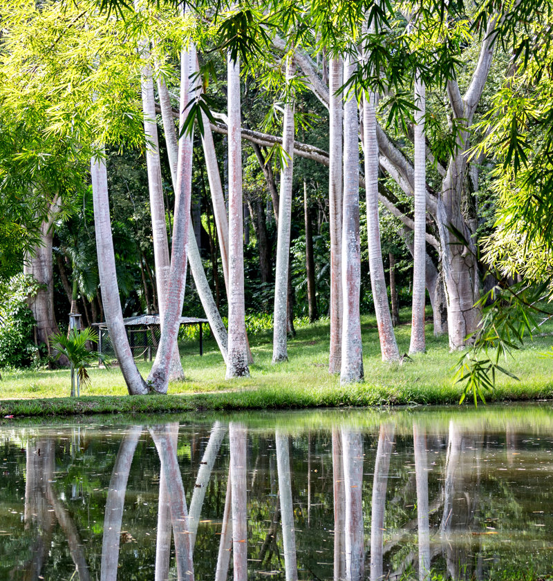 Το Πουέρτο Ορντάζ