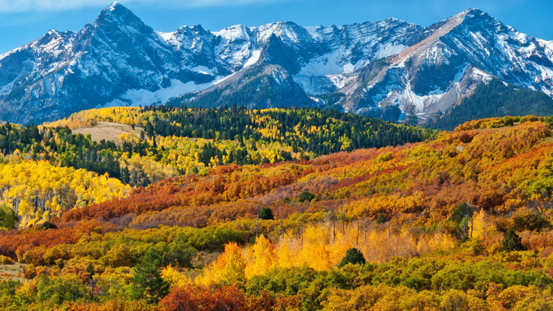 Η εμπειρία μας