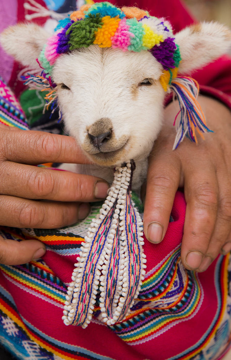 Aνακαλύπτουμε πόλεις και χωριά