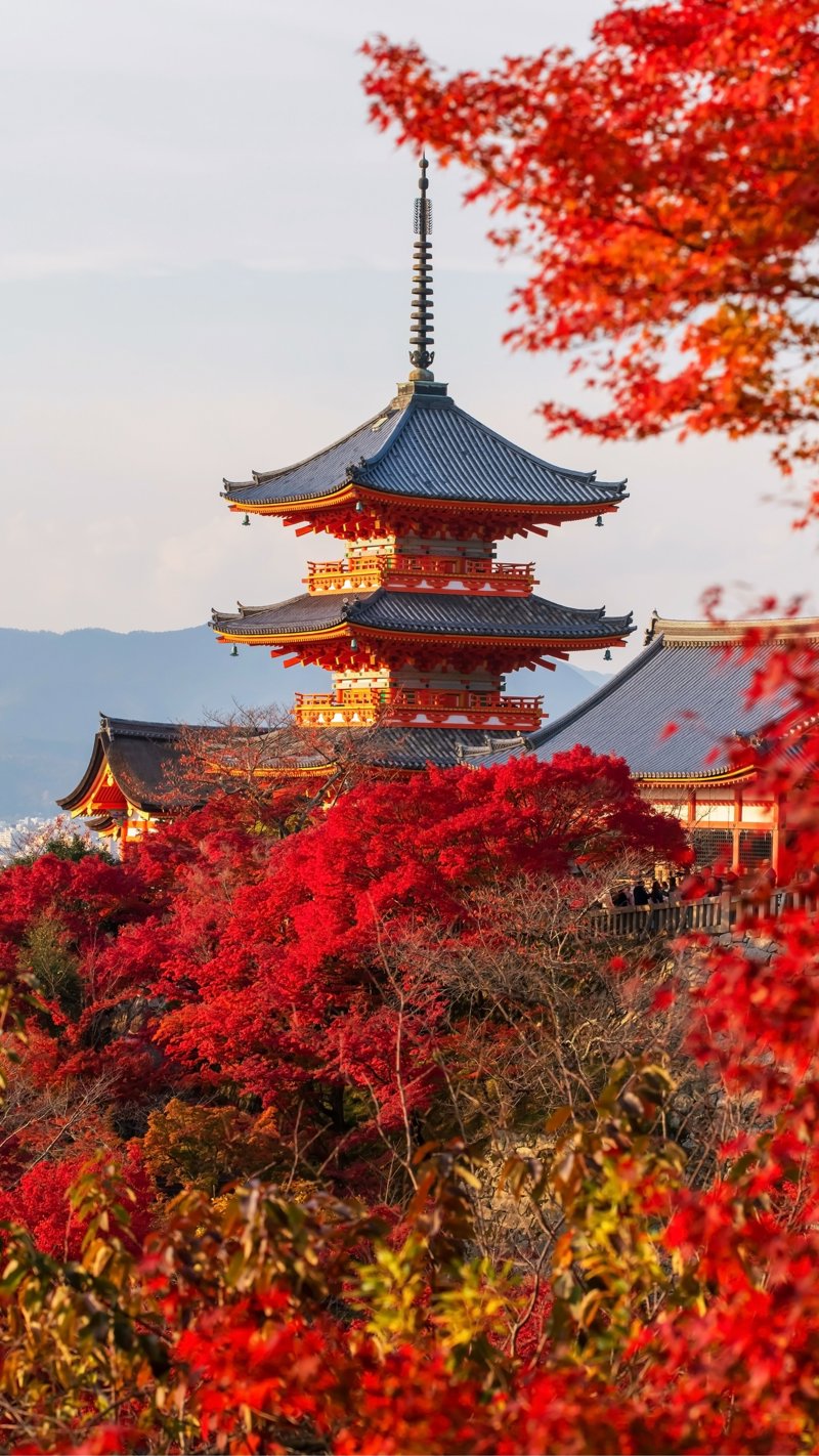 Θαυμάζουμε τα υπέροχα τοπία με το κόκκινο δέντρο