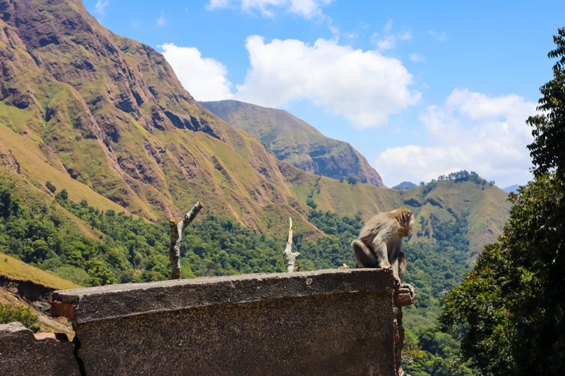 Eθνικό Πάρκο Μανουσέλα