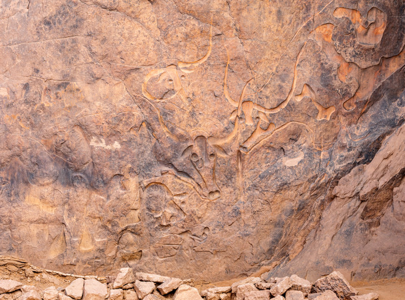 ΕΡΗΜΟΣ ΣΑΧΑΡΑ: ΤΙΝ ΡΕΣΟΥ – ΤΕΓΚΑΡΓΚΑΡΤ (Αγελάδα που Κλαίει)