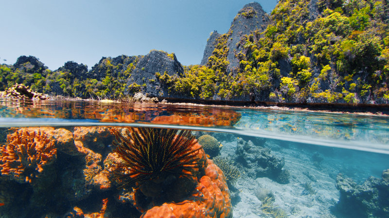 Ράτζα Αμπάτ