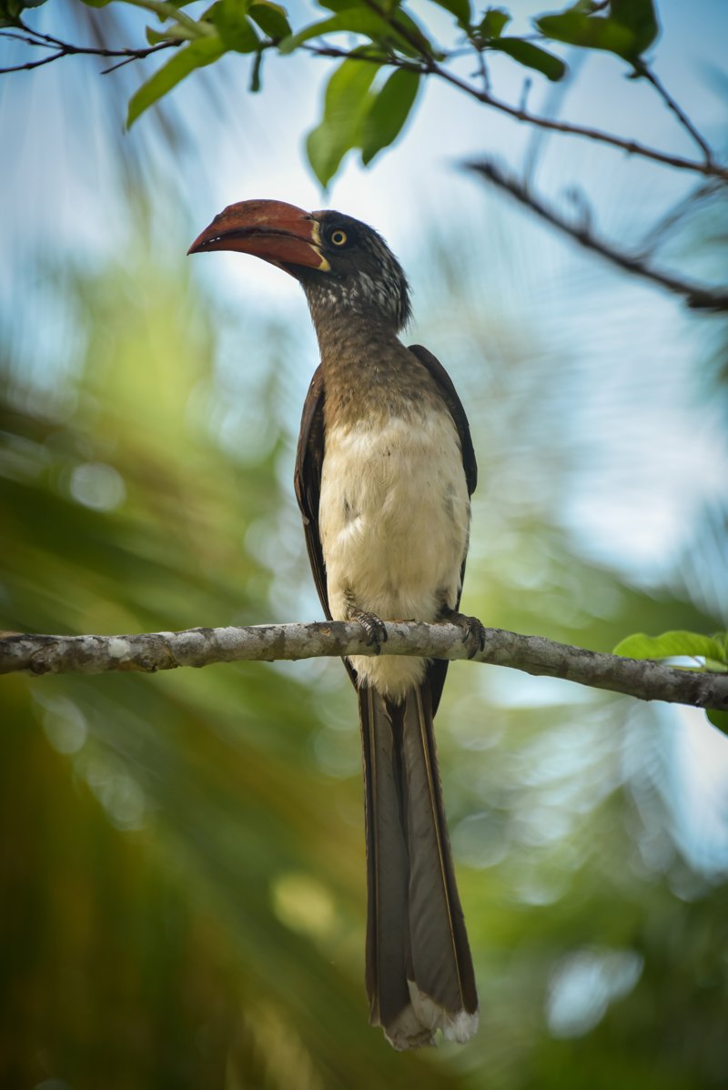 Μοναδικές εμπειρίες φτιαγμένες ειδικά για εσάς!