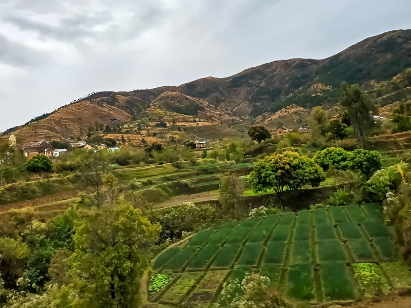 ΜΙΑΝΤΡΙΒΑΖΟ - ΑΝΤΣΙΡΑΜΠΕ 