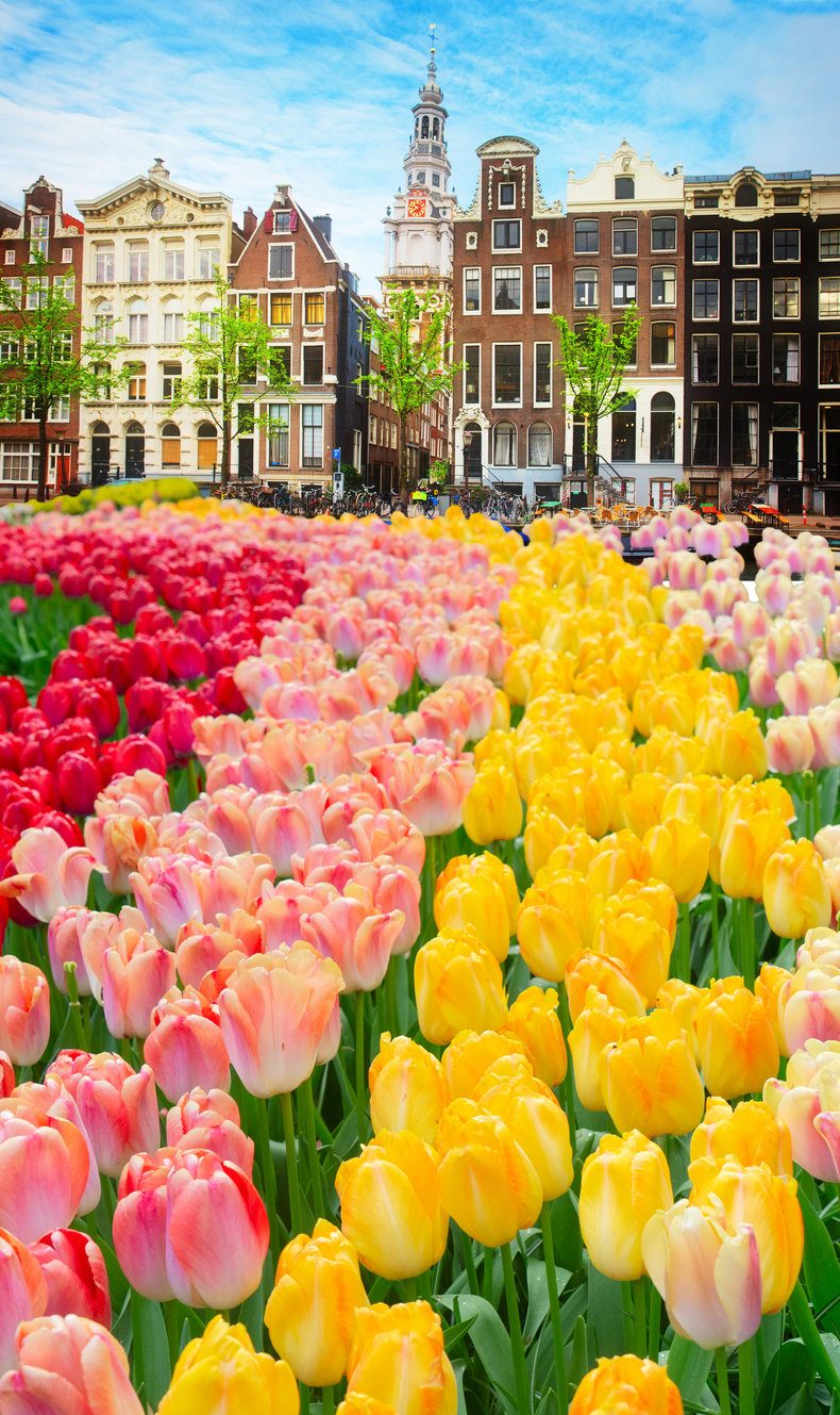 ΑΘΗΝΑ/ΘΕΣΣΑΛΟΝΙΚΗ/ΛΑΡΝΑΚΑ – ΑΜΣΤΕΡΝΤΑΜ – Eκδρομή στο ΠΑΡΚΟ ΚΕΪΚΕΝΧΟΦ με τις ανθισμένες τουλίπες