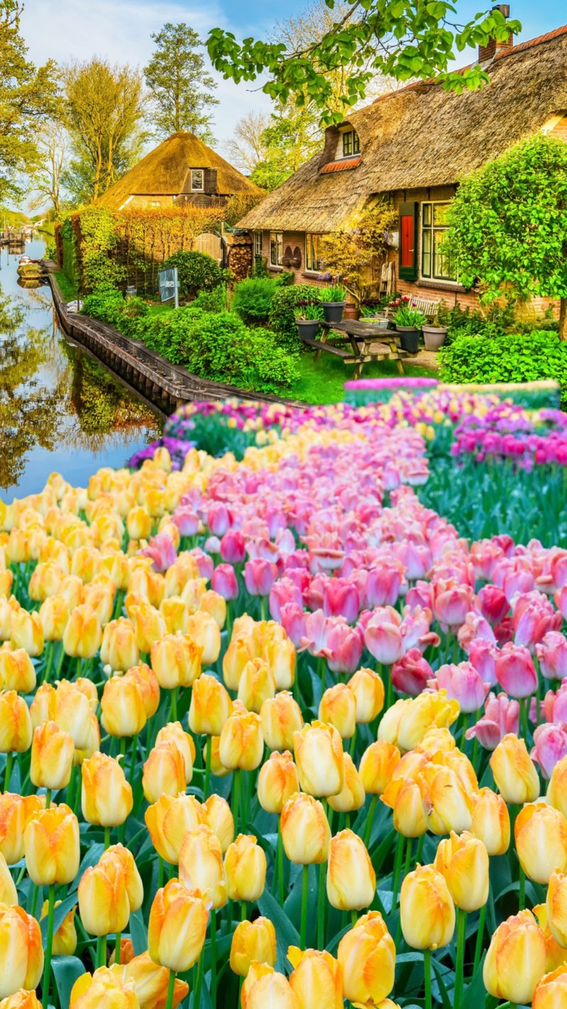 Εξειδικευμένες Ξεναγήσεις