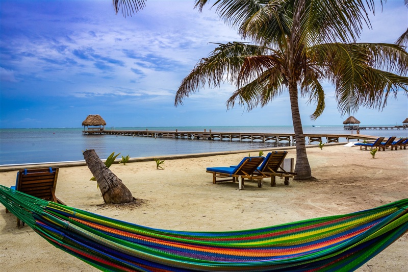 ΛΙΒΙΝΓΚΣΤΟΝ – ΜΠΕΛΙΖ ΣΙΤΙ (ΜΠΕΛΙΖ)