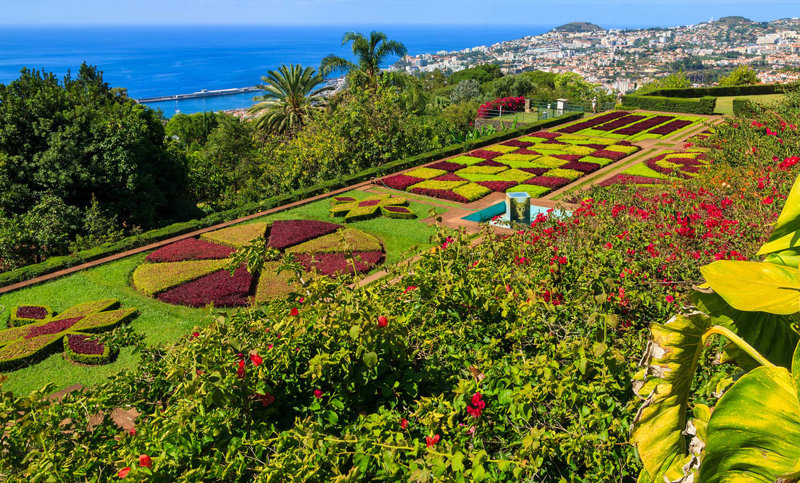 Φουντσάλ, Μόντε