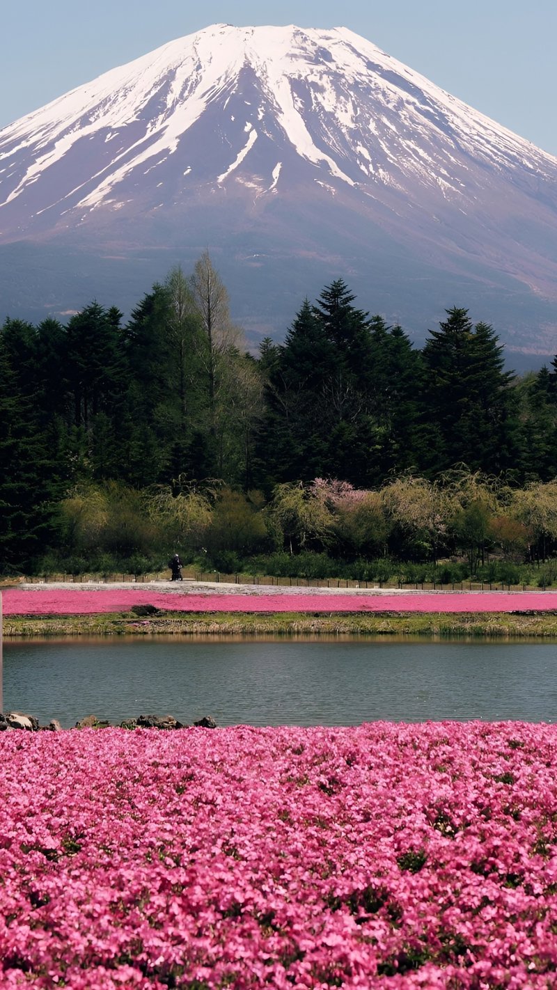 Εξειδικευμένες ξεναγήσεις