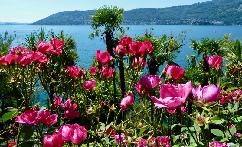 Ημιδιατροφή καθημερινά