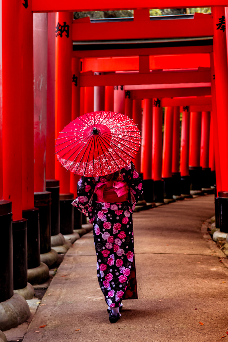 Τα highlights της φθινοπωρινής Ιαπωνίας με το Κόκκινο Δέντρο (με Qatar Airways)