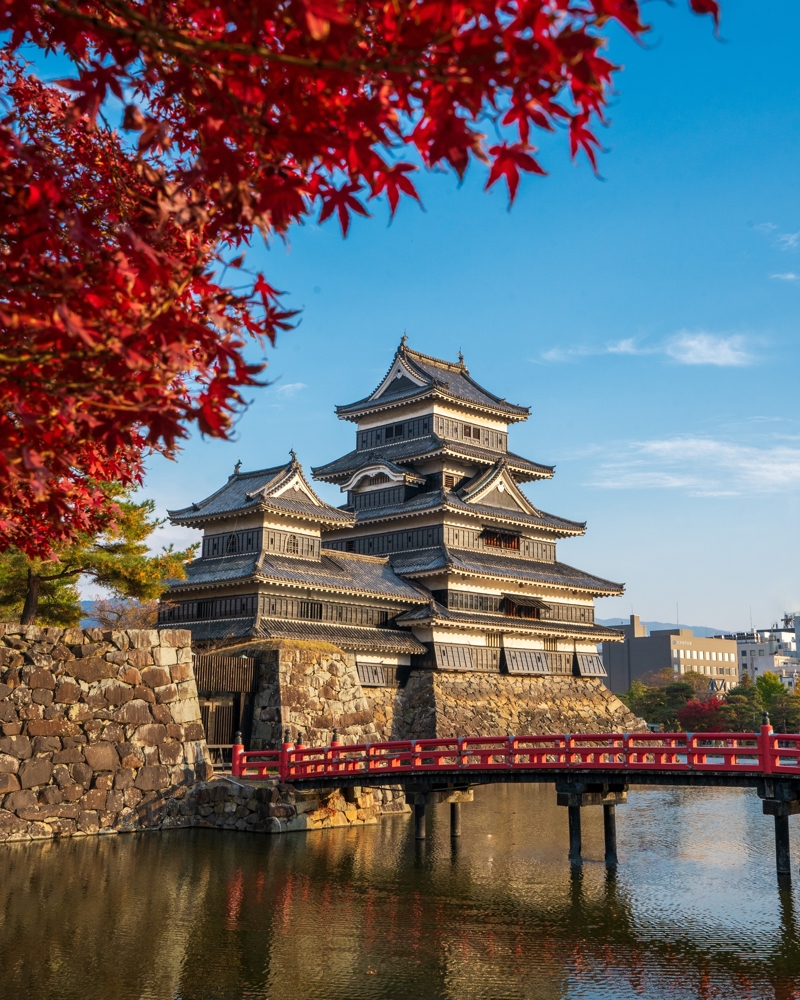 Αναζητήστε το κόκκινο δέντρο στη χώρα του Ανατέλλοντος Ηλίου