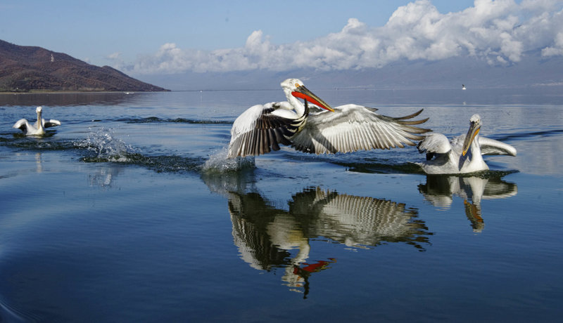 Παλαιός Άγιος Αθανάσιος – Πρέσπες – Άγιος Αχίλλειος – Ψαράδες – Φλώρινα – Παλαιός Άγιος Αθανάσιος