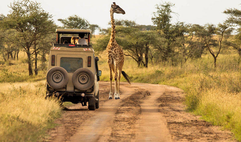 ΛΙΜΝΗ ΜΑΝΙΑΡΑ – ΣΕΡΕΝΓΚΕΤΙ (ΣΑΦΑΡΙ) 