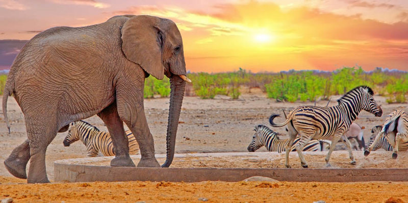 Γνωριμία με το Πάρκο 