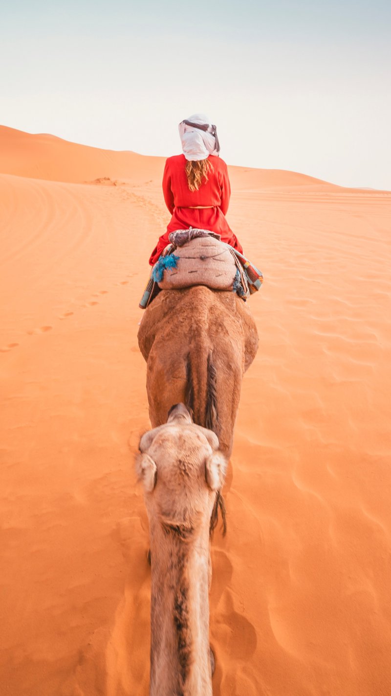 Δύο σπάνιες διανυκτερεύσεις στην έρημο