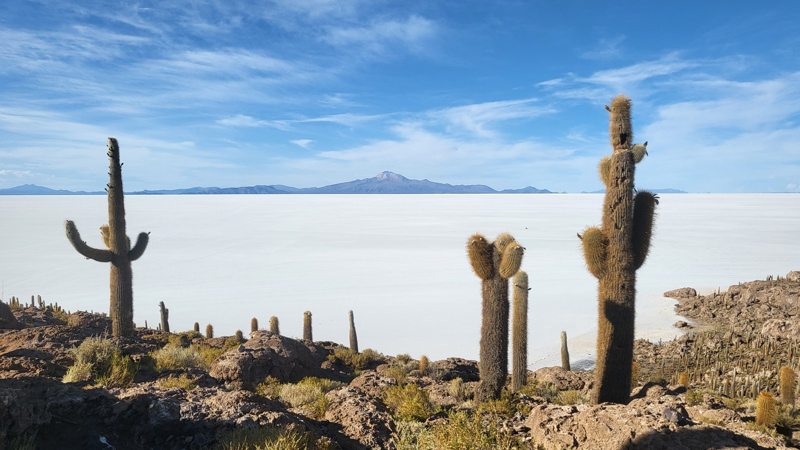 Το απίστευτο νησί Ινκαουάσι (=Σπίτι των Ίνκα)
