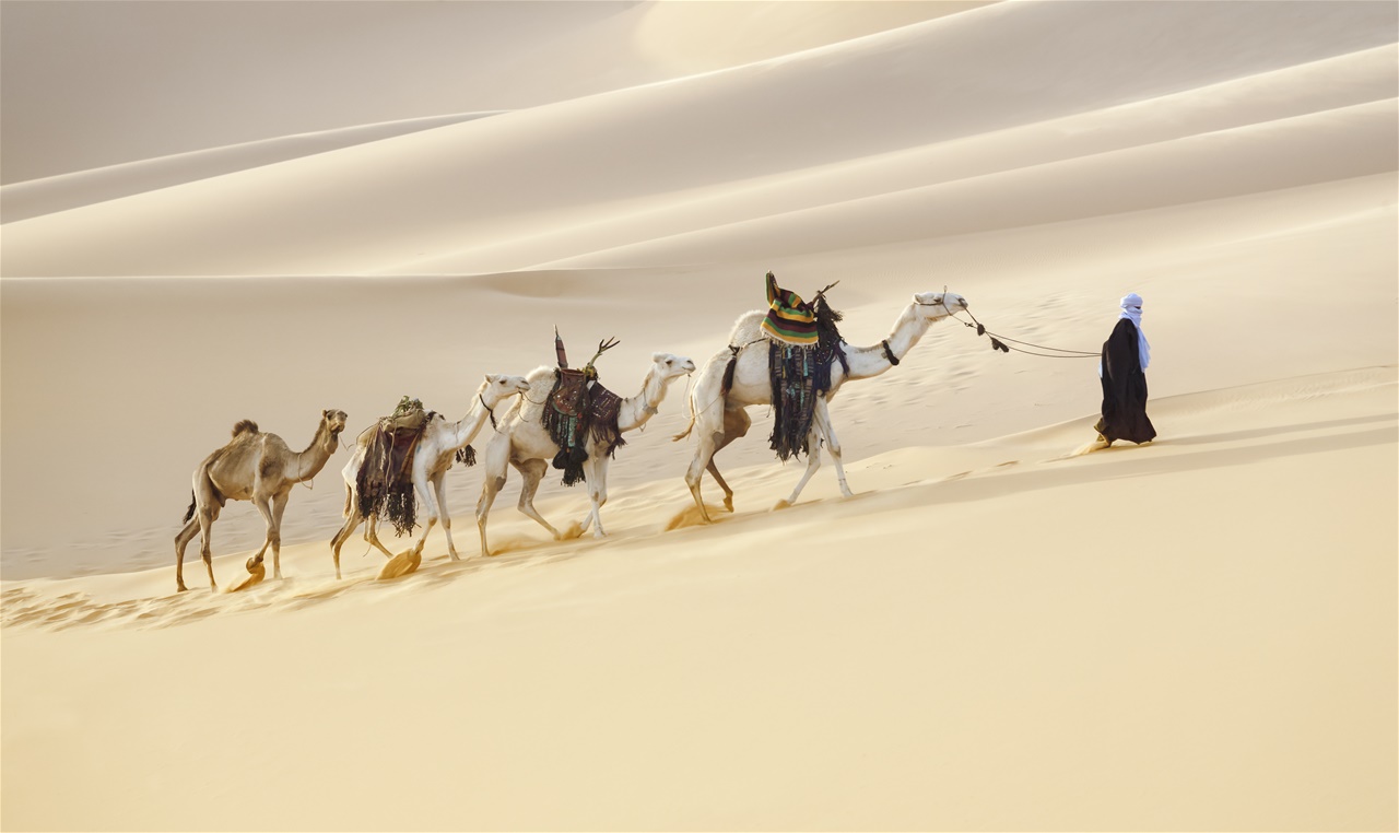 Большой караван. Бахрейнский жемчужный путь Бахрейн. Караван в пустыне. Караван верблюдов в пустыне. Картина Караван в пустыне.